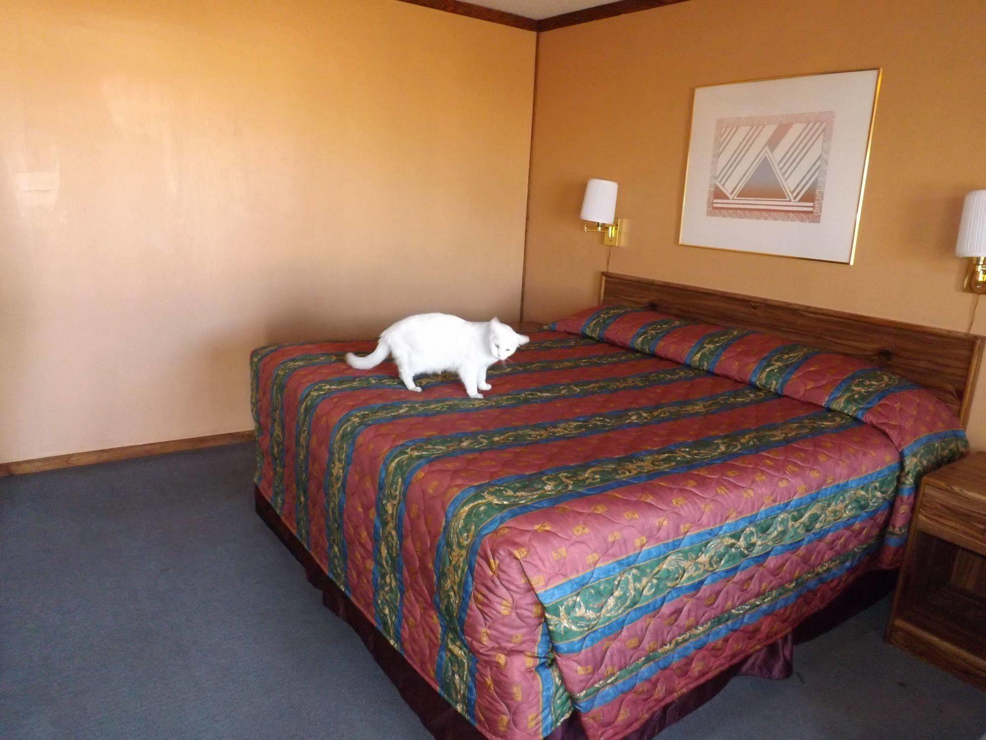 Tristar Inn Xpress Tucumcari Kültér fotó